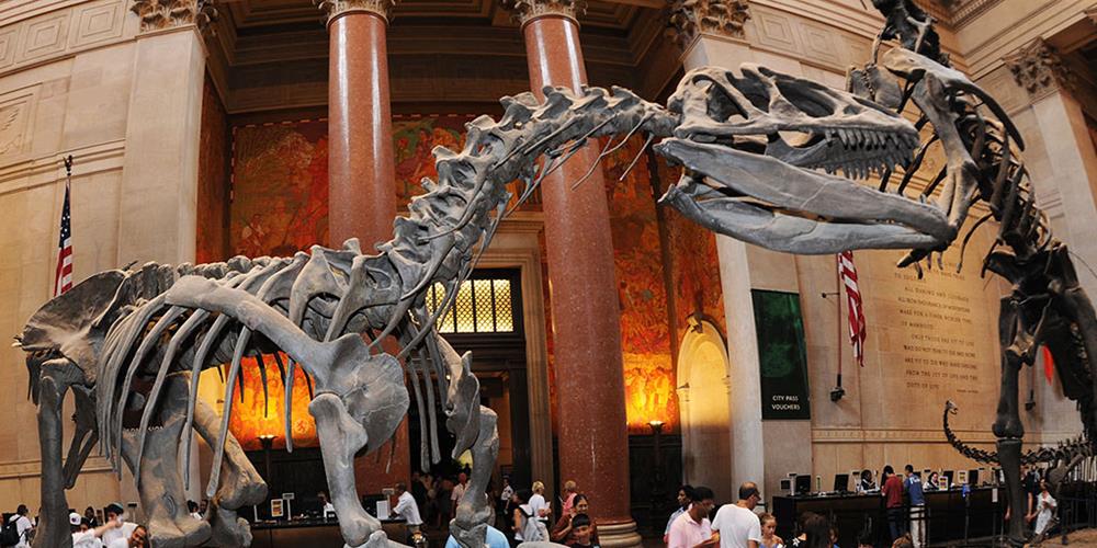 USA-NYC-American_Museum_of_Natural_History-2